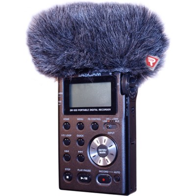 Tascam DR-100/DR-100MKII Mini Windjammer