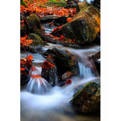 Vario Neutral Density ND Filter ND 2X-ND 400X Lens Cap And P