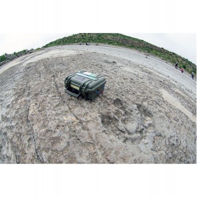 3317HL Case Green w/ Foam