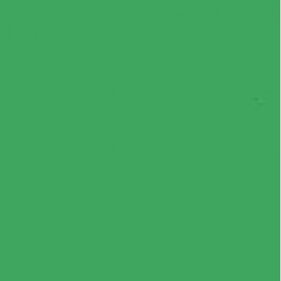 Achtergr.pap.46 Chroma Green 1.38X11M