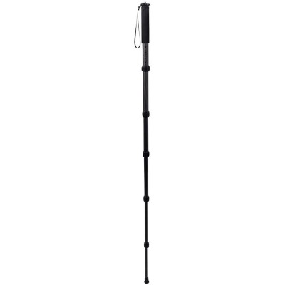 Carbon Monopod Classic 200