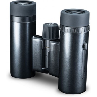 Vesta 1021 BP Vesta 1021 BP