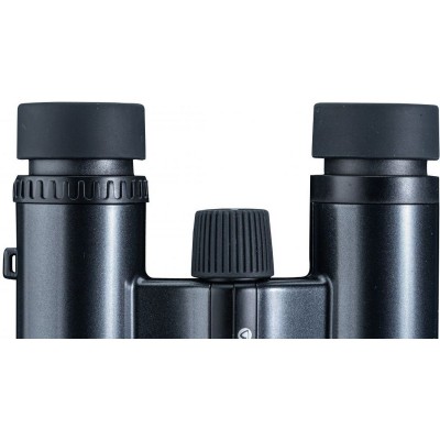 Vesta 1021 BP Vesta 1021 BP