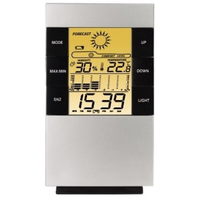 TH-200 LCD Thermometer/Hygrometer