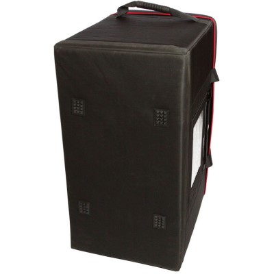 Big Case L