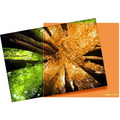 Filter X002 Orange