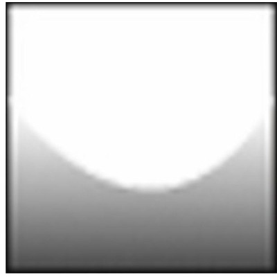 Filter X149 Wedding 1 Black