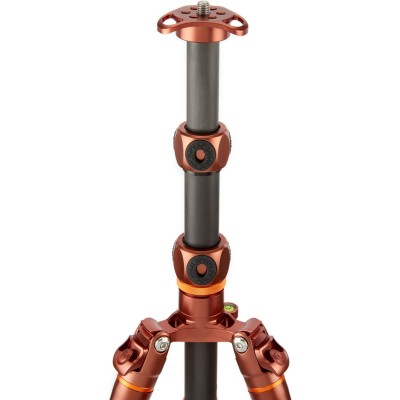 Legends Ray Tripod Bronze