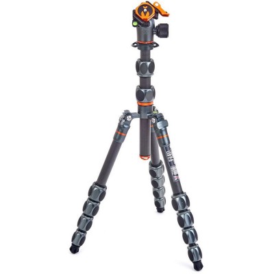 Pro 2.0 Leo Carbon Tripod + AirHedPro LV Grey