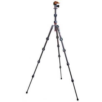 Pro 2.0 Leo Carbon Tripod + AirHedPro LV Grey