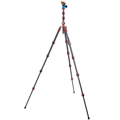 Pro 2 Albert Carbon Tripod + AirHedPro Bronze