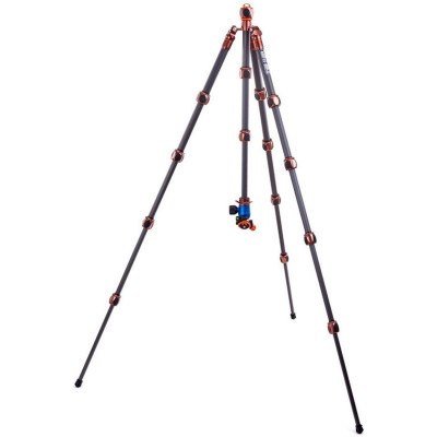 Pro 2 Albert Carbon Tripod + AirHedPro Bronze