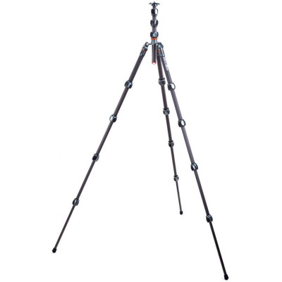 Pro 2.0 Albert Grey Carbon Tripod