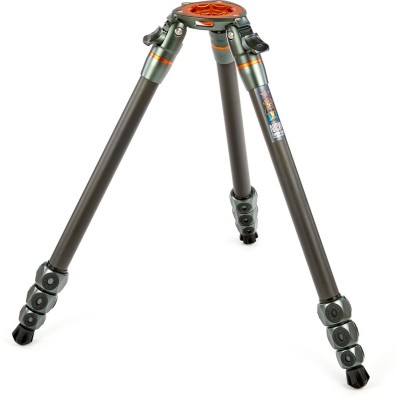 Legends Nicky Hybrid