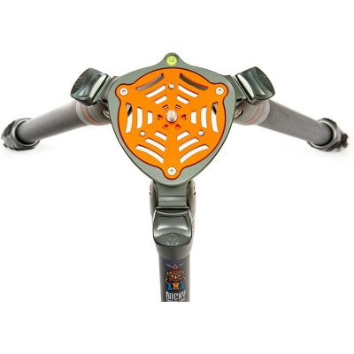 Legends Nicky Hybrid