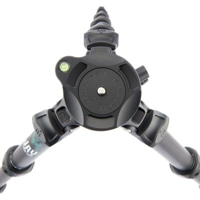 Legends Jay Black Darkness