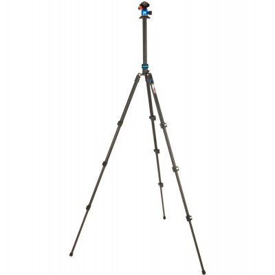 Punks Patti 2.0 & AirHed Blue & Black