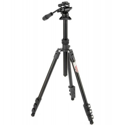 Punks Patti 2.0 & AirHed Trinity Black