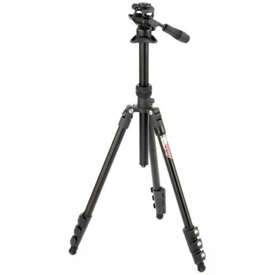 Punks Patti 2.0 & AirHed Trinity Black