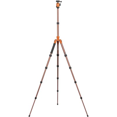 X-GO Gecko Orange-Brown