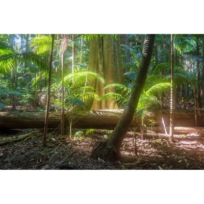 62.0mm Mist Diffuser BK No 1