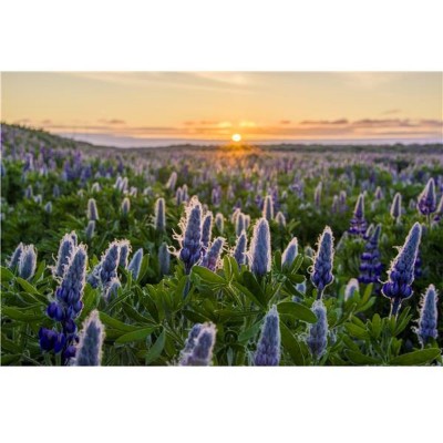 K-Series Grijsverloopfilter 1.2 ND16 Hard