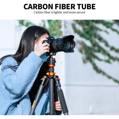 Tripod D255C4 170cm Carbon w/ Monopod + Plate